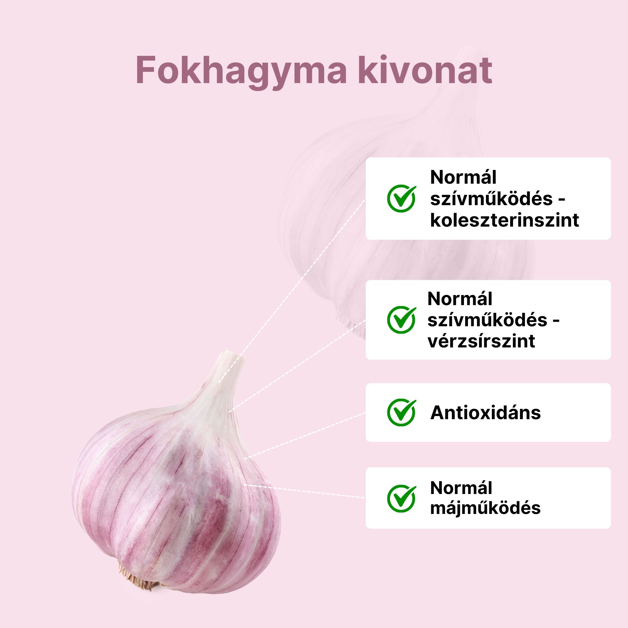 (Maďarština) (80)